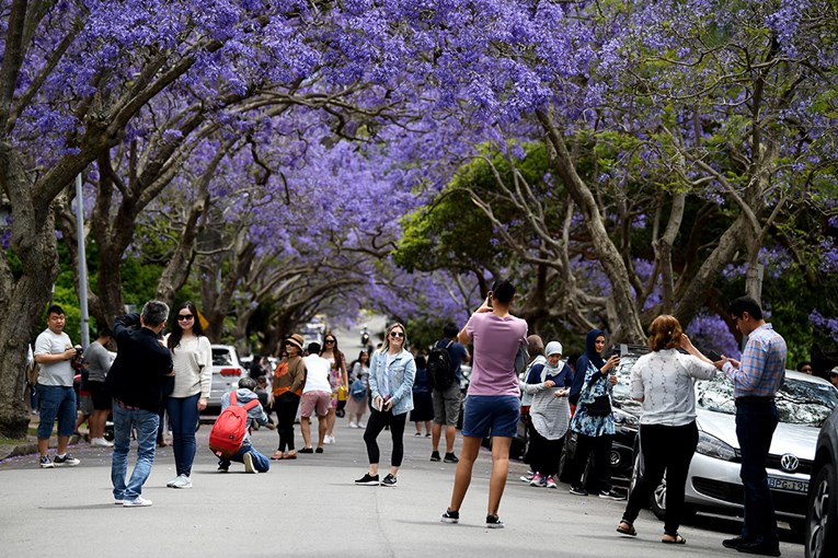 Svi žele u Australiju, već tjedan dana nemaju lokalnu transmisiju korone