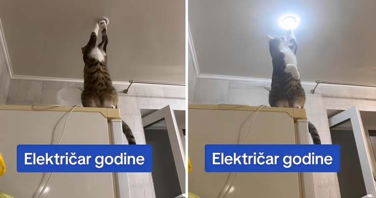 Video mace sa žaruljom nasmijao je internet: "Sposobnija od mog bivšeg"