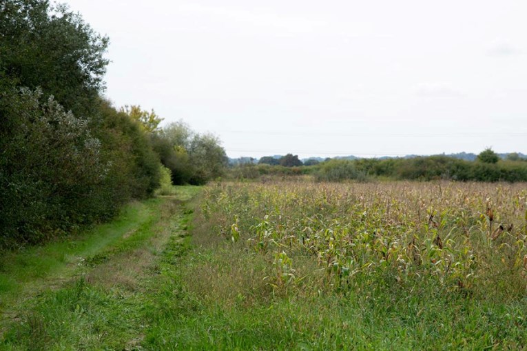 Umjesto 2.6 milijuna, Ogulin platio 20.000 eura za 43.5 hektara državnog zemljišta