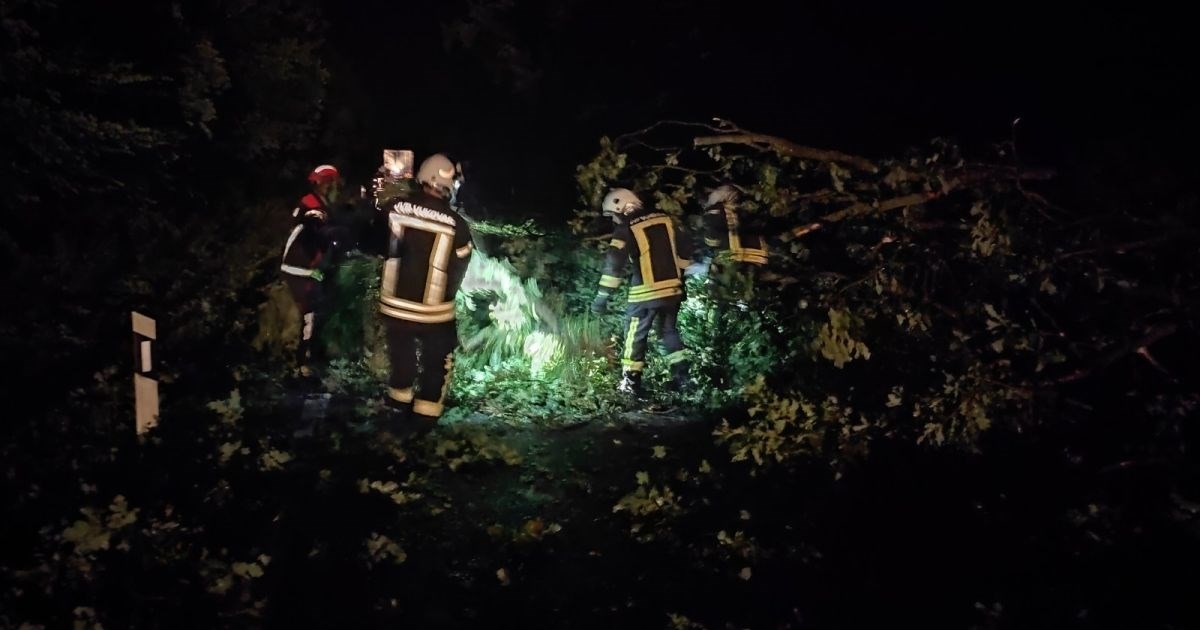 Vatrogasci satima na rukama nosili osobu koja je ostala zarobljena u šumi nakon oluje