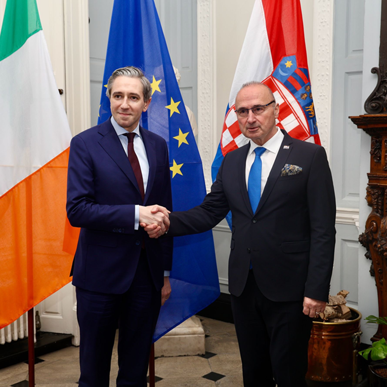 Irski šef diplomacije primio Grlića Radmana pa ga nazvao "istomišljenikom"