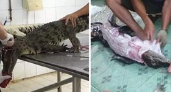 UZNEMIRUJUĆE: Video skidanja kože živim krokodilima radi torbice Louis Vuitton šokirao je svijet