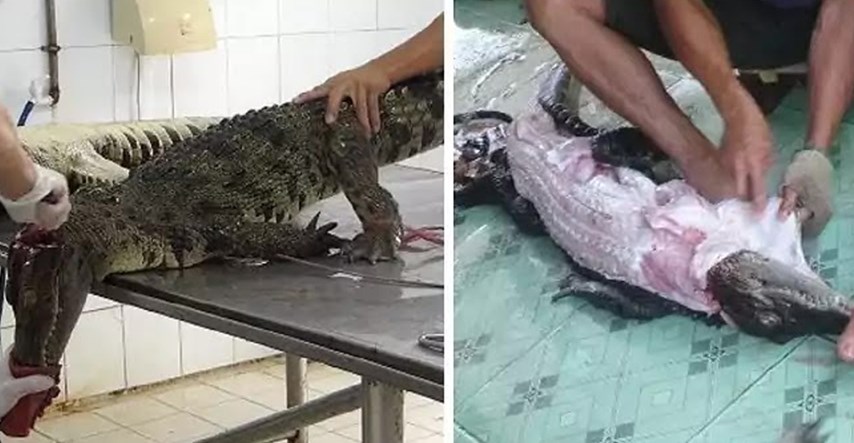 UZNEMIRUJUĆE: Video skidanja kože živim krokodilima radi torbice Louis Vuitton šokirao je svijet