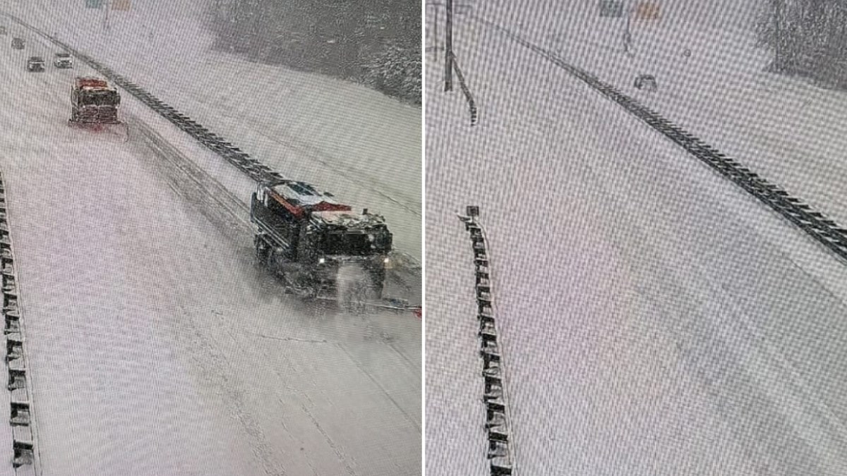 Pogledajte autocestu pet minuta nakon što prođu ralice