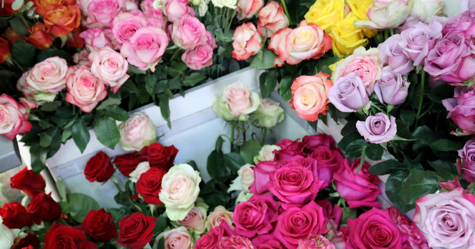 "Za 30 eura ne možete dobiti ništa": Splićanku naljutilo iskustvo u cvjećarni