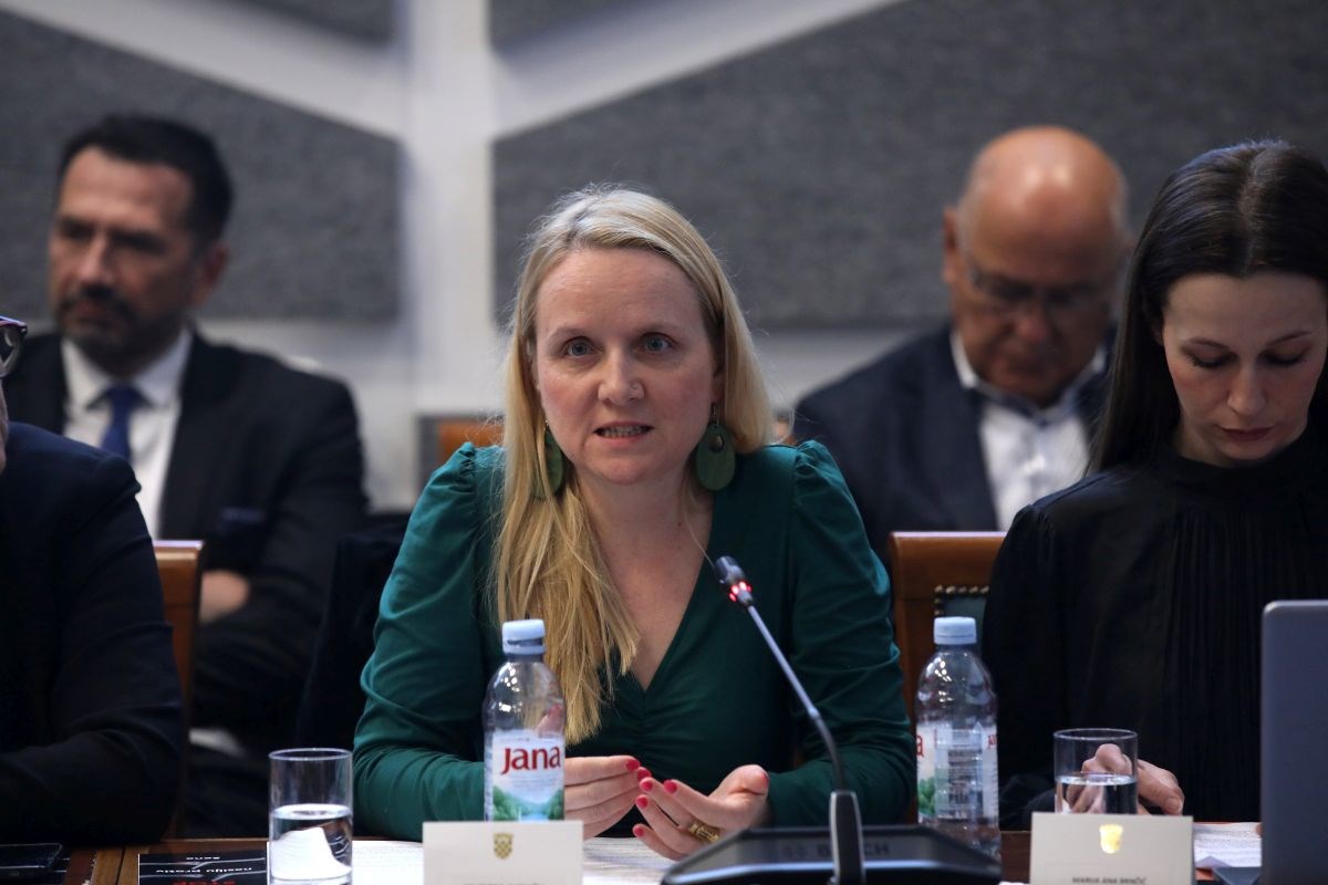 Odbor za ravnopravnost spolova: Trebamo bolju prevenciju femicida