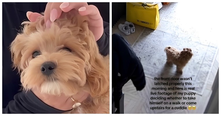 Sigurnosna kamera snimila psa koji se dvoumi oko bijega, evo što je na kraju odlučio