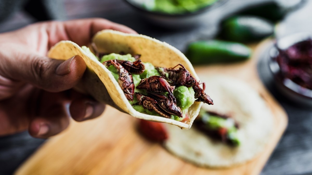 Od kukaca do ulja rakova: Evo koliko je sigurna nova hrana s EU polica