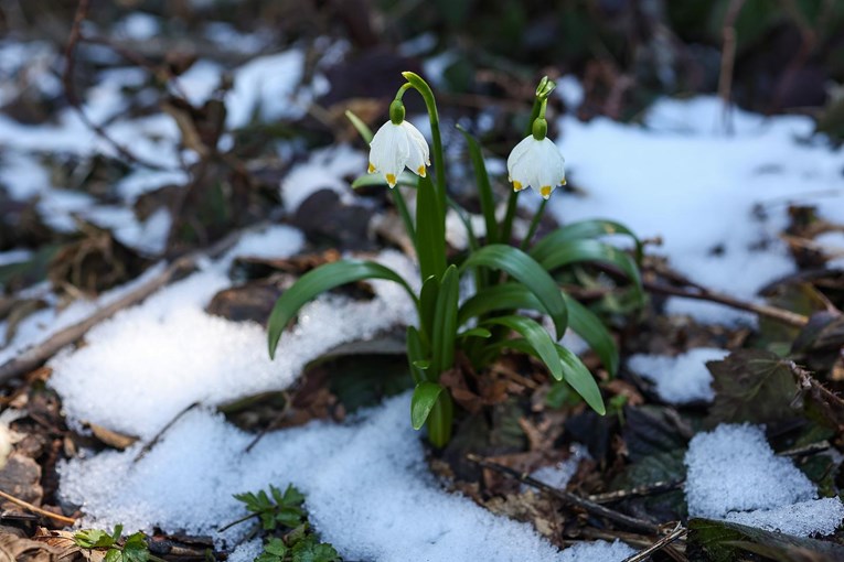 Oblačno i hladnije, u višem gorju moguć i snijeg
