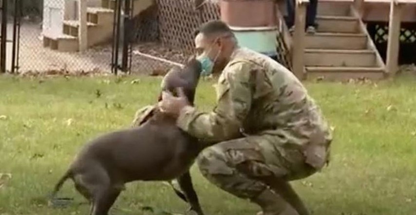 Pas imao dirljivu reakciju kad mu se vlasnik vratio s vojne dužnosti: "Zaplakao sam"