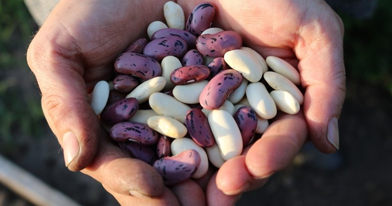 Ove tri namirnice odličan su izbor za zdravlje srca i probave, savjetuje kardiolog