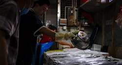 Japan: Ribe u vodi kod Fukushime nisu radioaktivne