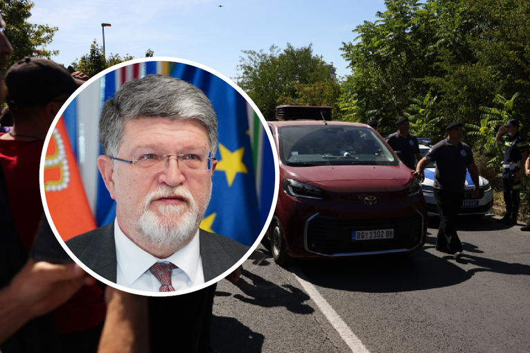 Picula: Srbija sama bira svoj put
