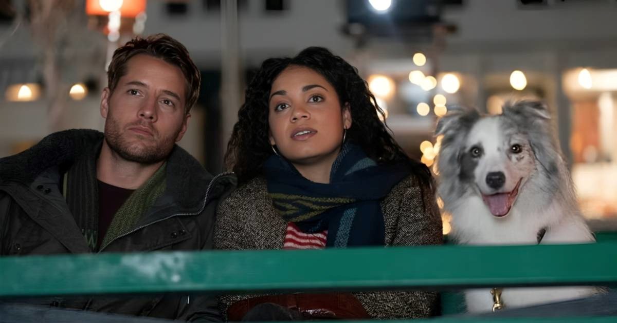 Što je "sezona vezivanja" i zašto se događa baš zimi?