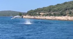 VIDEO Prekrasna igra dupina snimljena u zadarskom arhipelagu, plivali su blizu obale