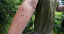 Vukovar počeo sa zaprašivanjem komaraca