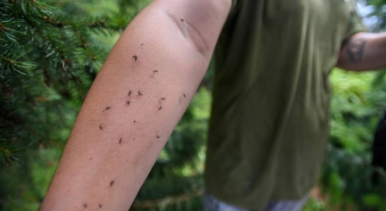 Vukovar počeo sa zaprašivanjem komaraca