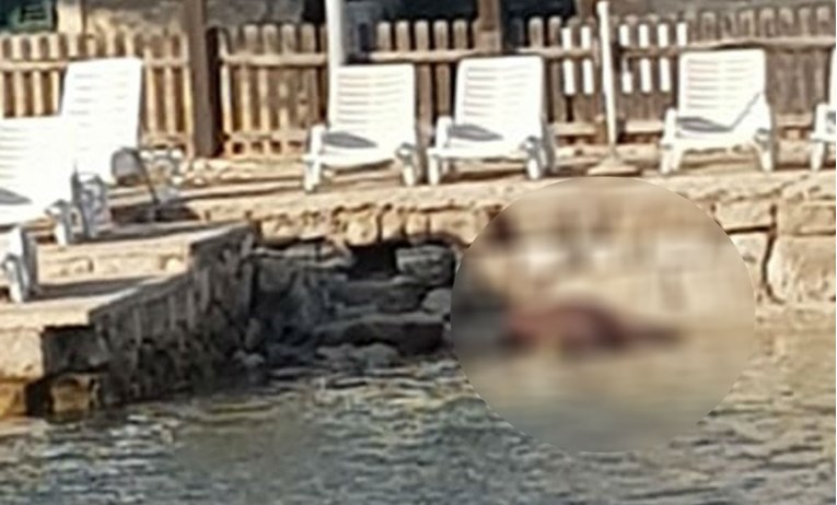 Britanka preminula na plaži kod Dubrovnika, njezino je tijelo tamo ležalo satima