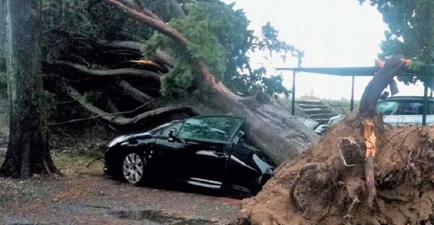 FOTO Olujno nevrijeme na jugu zemlje, vjetar iščupao ogromno stablo i uništio auto