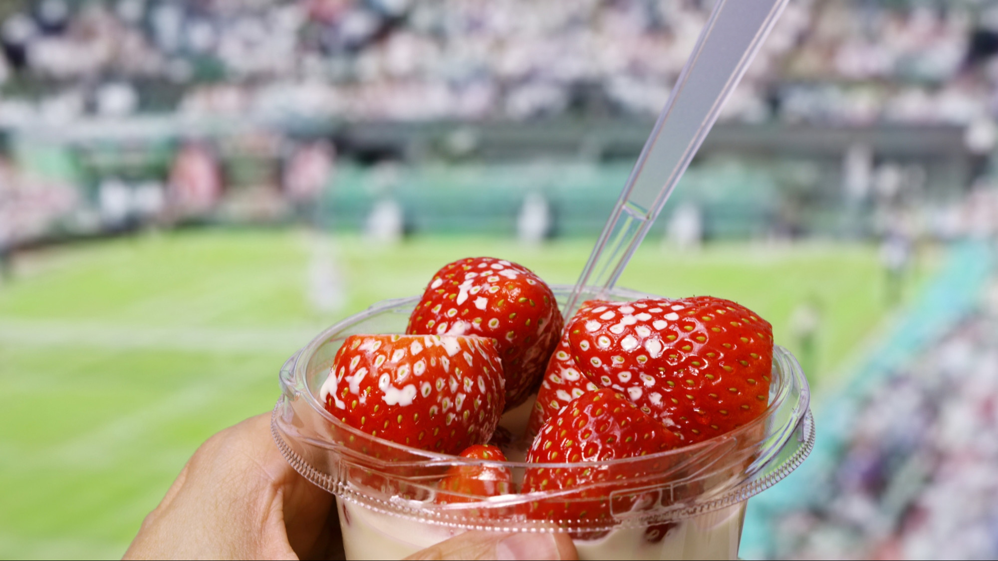 Posjetila Wimbledon i oduševila se cijenom popularnog klasika