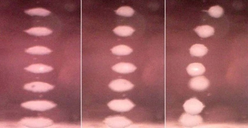 Znanstvenici postigli levitaciju matičnih stanica pomoću zvuka