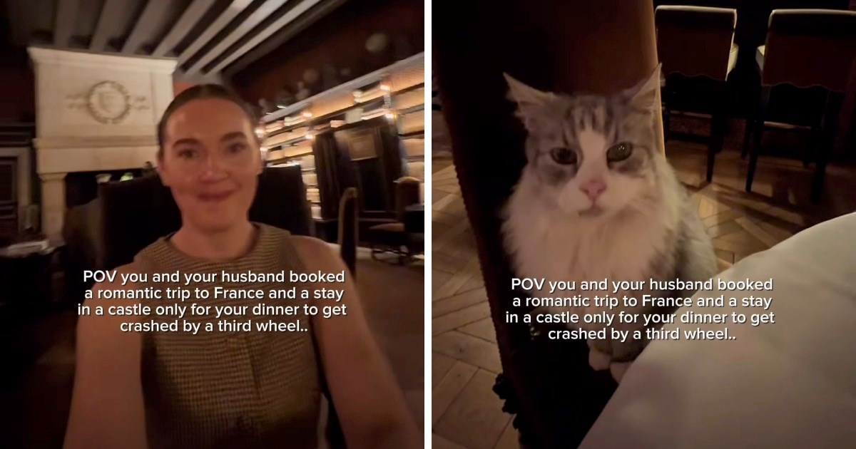 Mačka se pridružila paru na romantičnoj večeri u francuskom dvorcu