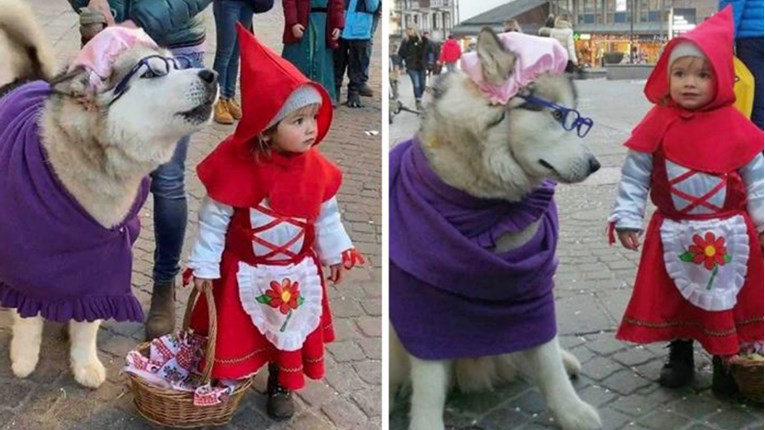 Djevojčica i pas maskirani u likove iz Crvenkapice osvajaju društvene mreže