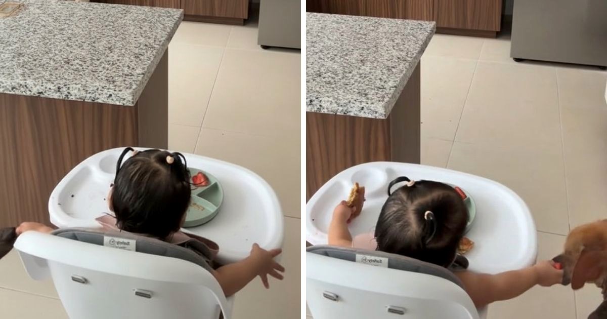 Mama mislila da kći ima velik apetit, slučajno je otkrila tajne pomagače djevojčice