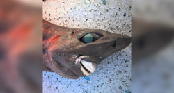 Ribar upecao tajanstvenog morskog psa s izbuljenim očima i strašnim zubima