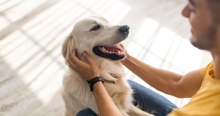 Veterinar otkriva: Sedam znakova da vas pas neizmjerno voli