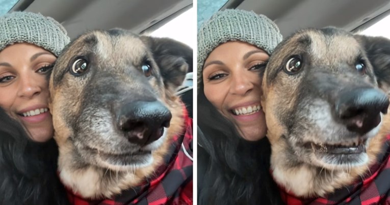 Video psa koji se smije dok vlasnica slika selfie nasmijao tisuće, jasno je i zašto
