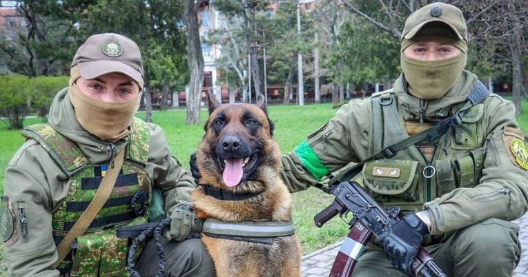 Ukrajina: Ovo je pas kojeg je ruska vojska napustila, sad radi s nama