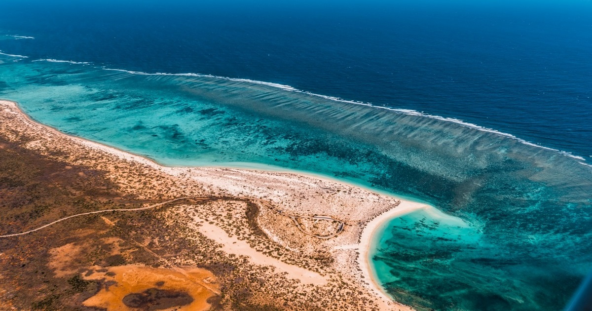 Podvodni "požar" uništava australske koralje. "Razorno, bez presedana i nenormalno"