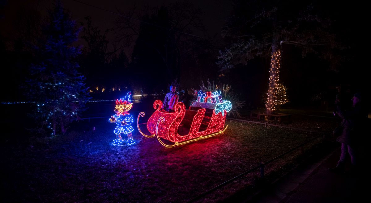 FOTO Pogledajte kako izgleda Advent u zagrebačkom zoološkom vrtu
