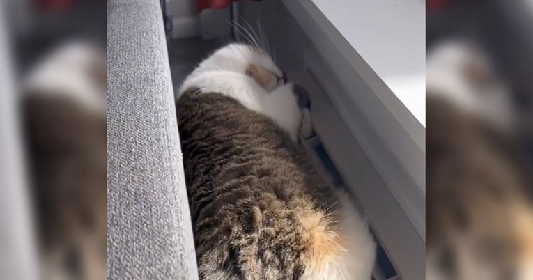 "Ono kad skužiš zašto se kuća ne zagrijava": Mačka je našla najtoplije mjesto za leći