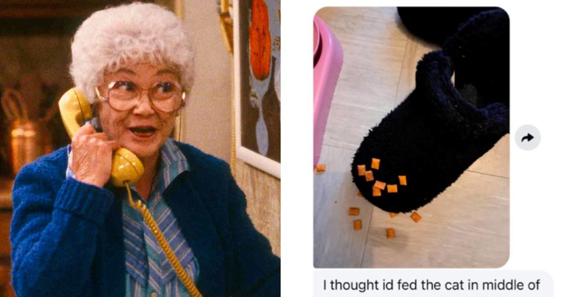 Baka greškom nahranila papuču umjesto mačke, postala hit na TikToku