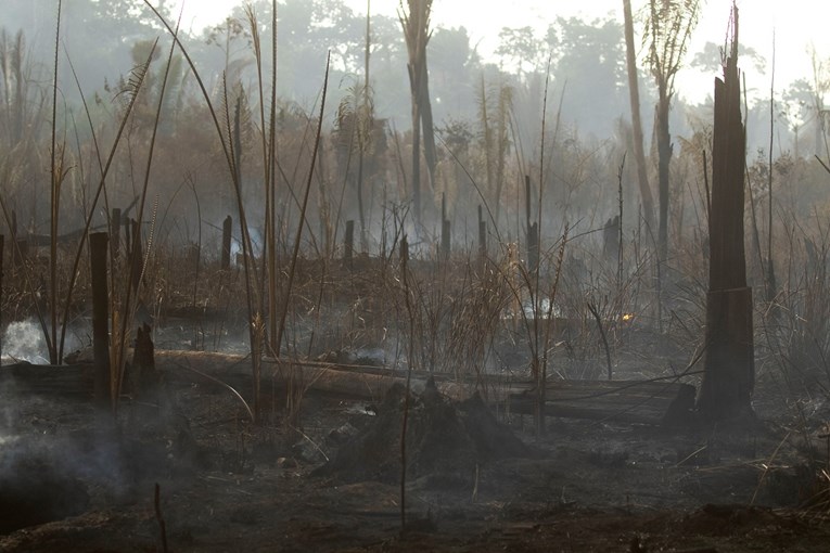 Investitori traže sastanak s brazilskim diplomatima zbog deforestacije Amazonije
