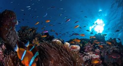 Veliki koraljni greben u opasnosti zbog klimatskih promjena