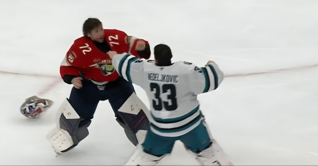 Srpski i ruski golman tukli se šakama u glavu na NHL utakmici