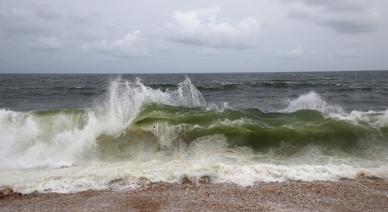WMF na Svjetski dan oceana poziva vlade na zaštitu i oporavak mora
