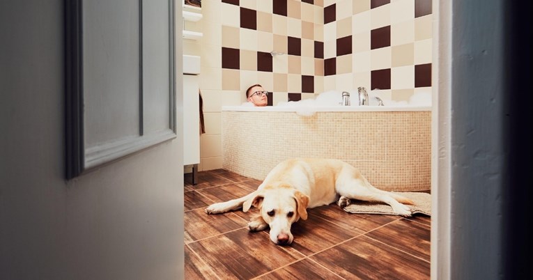 Postoji stvarno sladak razlog zbog kojeg vas pas slijedi u kupaonicu