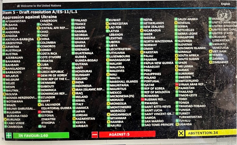 Ujedinjeni narodi usvojili rezoluciju, osudili napad na Ukrajinu. I Srbija isto
