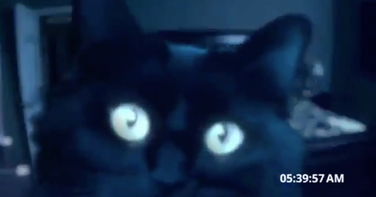 Kamera snimila što mačka radi usred noći u spavaćoj sobi svojih vlasnika