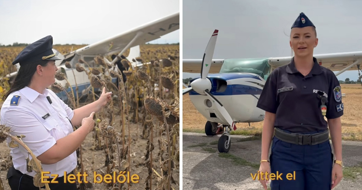 Pijani mladić ukrao mali avion u Mađarskoj, sletio u suncokrete: "Ničega se ne sjećam"