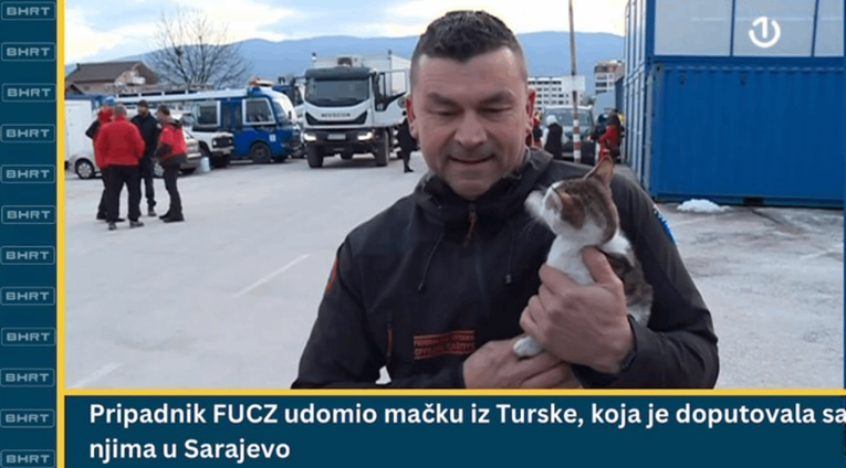 Maca koju su spasioci donijeli iz Turske dobila državljanstvo BiH