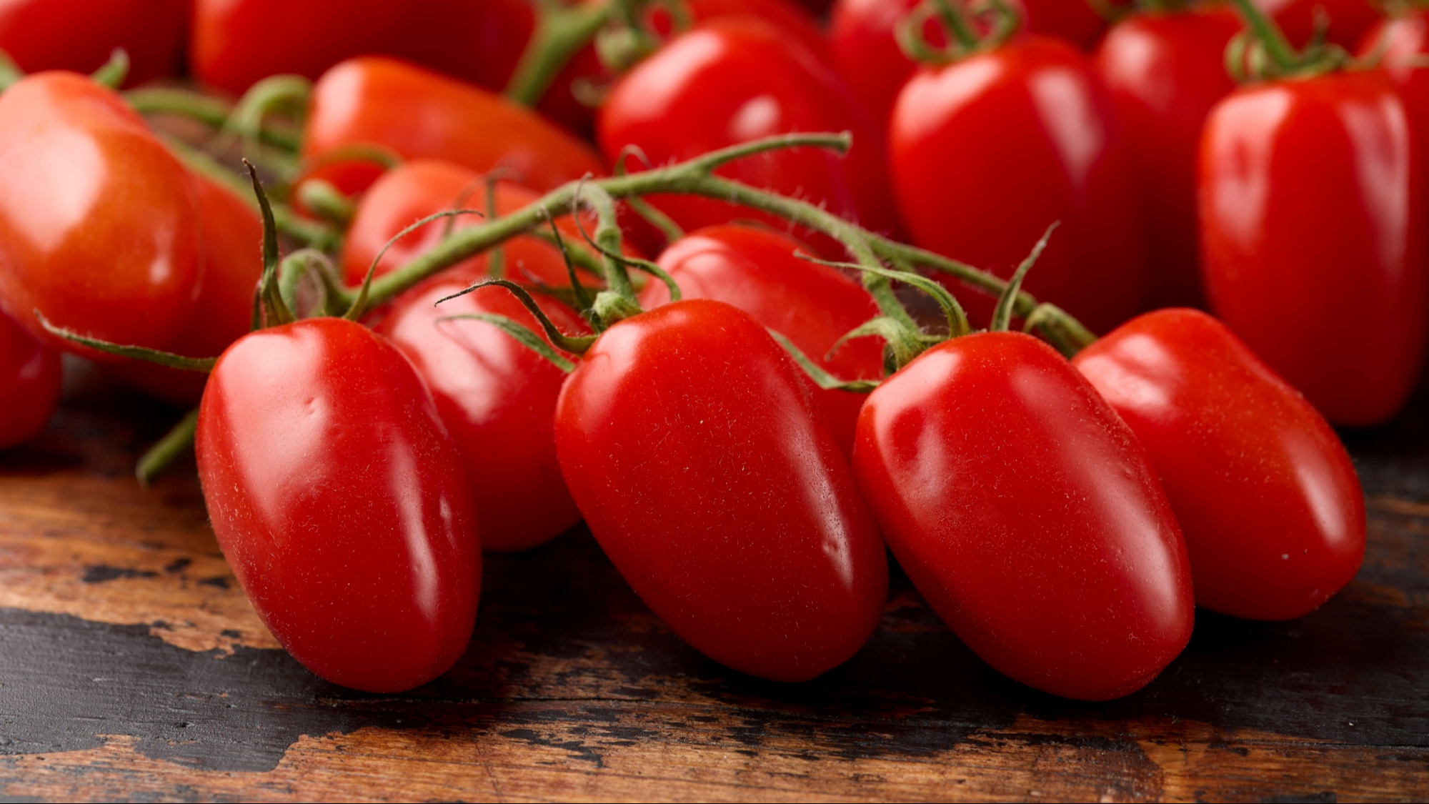 Cherry rajčice i obične rajčice - koje su bolje i u čemu je zapravo razlika?