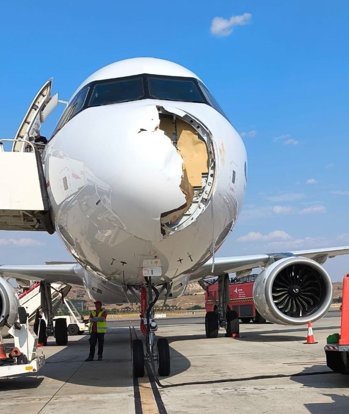 VIDEO Pogledajte kako izgleda putnički avion u Madridu nakon udara u pticu