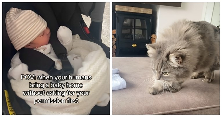 Mačka ugledala bebu prvi put u životu i svojom reakcijom nasmijala internet