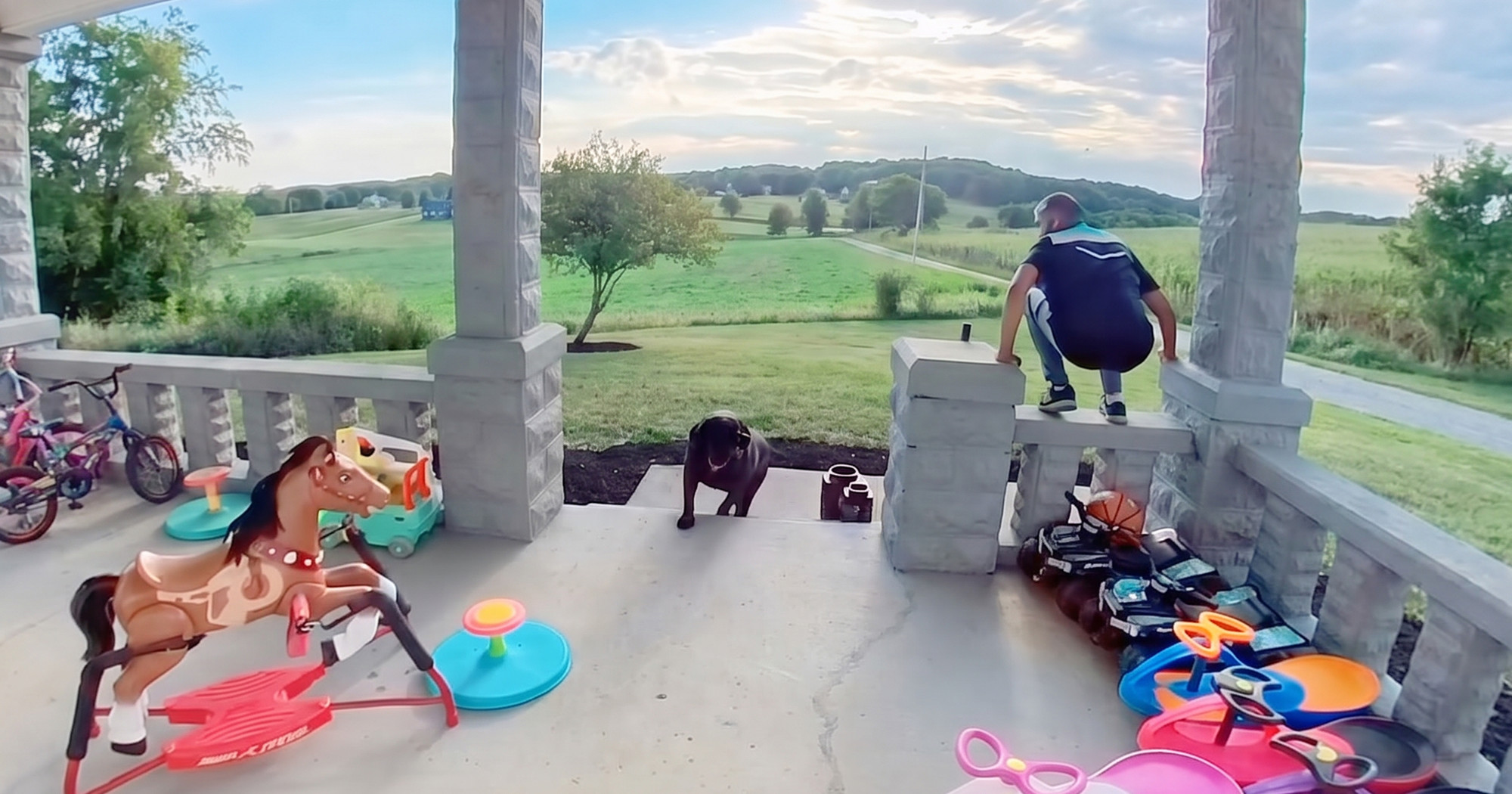 Dostavljač pobjegao od labradora koji je samo htio poslasticu, ljudi umiru od smijeha