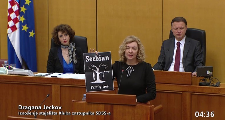 VIDEO Zastupnica SDSS-a: Ova slika je školski primjer mržnje prema Srbima